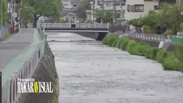 这全套看着是真爽死人居然还是无毛的小很有撸点 new