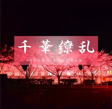 FC2-3181466 【真冬の向日葵】まだ何にも知らない。染まっていない究極の清純。向日葵のような笑顔に隠された本当の自分。ゆら18歳 new