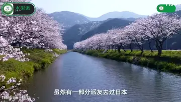 最新精品大片约会极品良家少妇 new