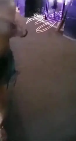 顶级核弹!推特极品颜值尤物▌Exhib▌绝美女神都是有钱人玩的私人宠物 完美整理户外露出篇2V1 new