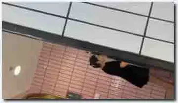 商场女厕偷拍漂亮美女 会呼吸的美鲍 new