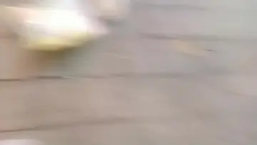 210506zb007城市猎人第一场20210506