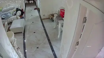 高颜值气质美女主播收费大秀身材也很高挑十分诱人喜欢别错过A new