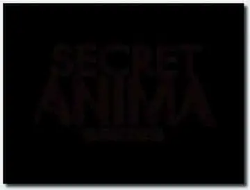 18禁アニメ 無修正 MAMA MIA シークレットアニマシリーズ 飛龍乱 VOL 2 DVD 960x720 x264 AACx2