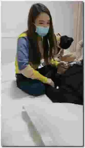 会所培训新人这次三个妹子，奶子好美小逼逼真漂亮，撸起小哥哥的大鸡鸡几个骚女无套轮着草，浪荡呻吟淫语不断
